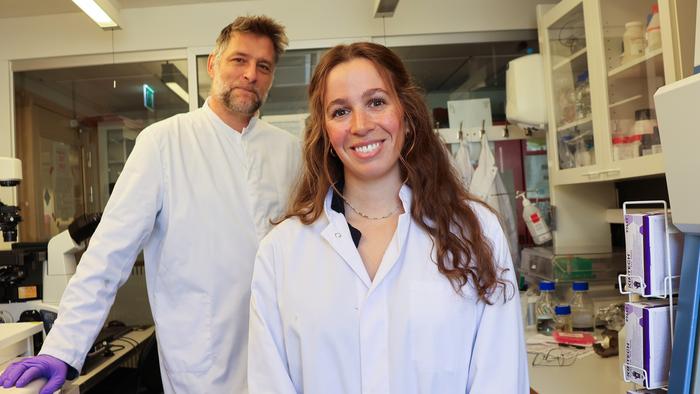 New method cuts sepsis diagnosis from days to hours