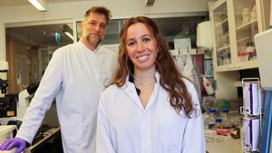 New method cuts sepsis diagnosis from days to hours