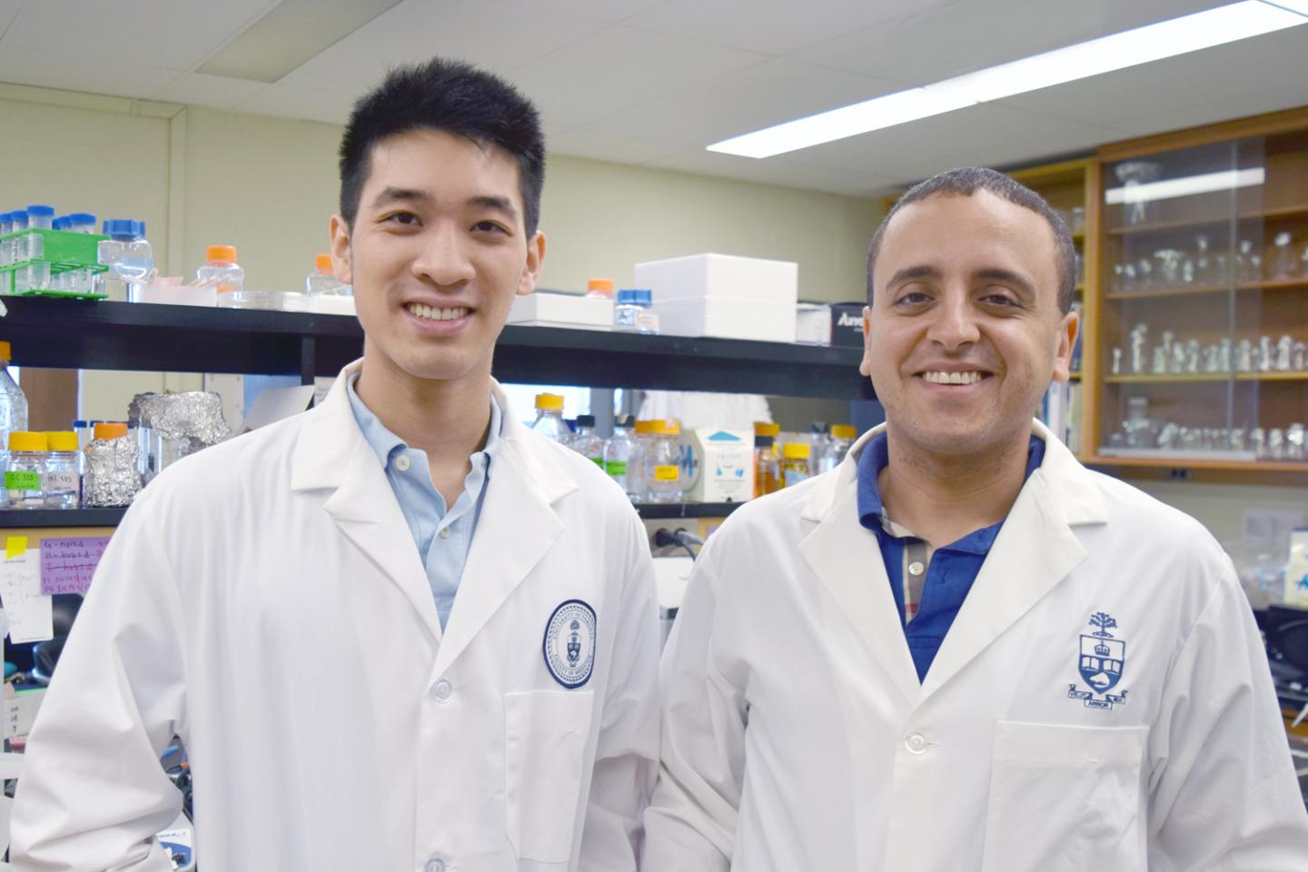Daniel Chung and Karim Mekhail
