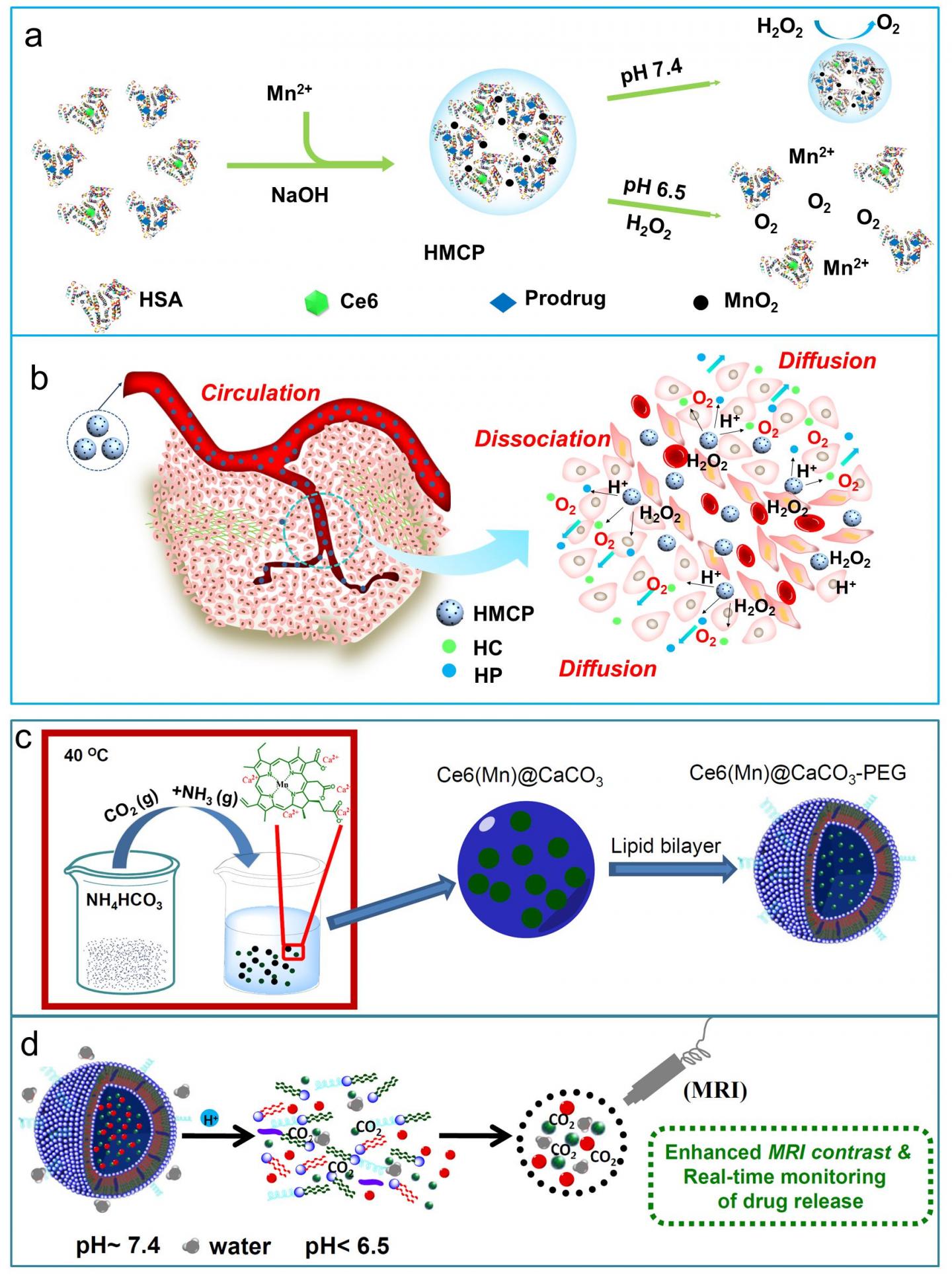 Nano-Theranostics