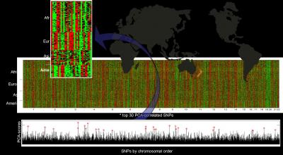 Ancestral Genetics