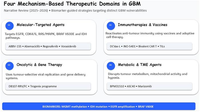 Emerging pharmacological agents for glioblastoma multiforme: An update on active clinical trials (2025–2026)