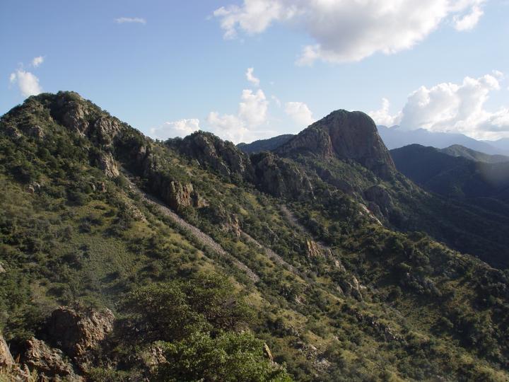 Southern Arizona Sky Island
