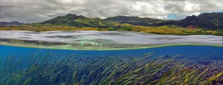 Manell-Geus Watershed