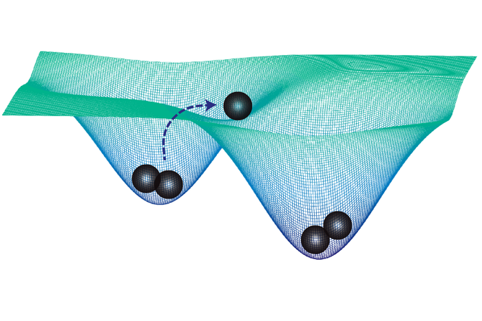 Cell-Cell Communication and Fate