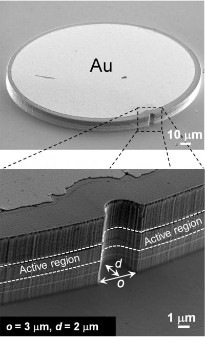 SEM Image of the Notched Elliptical Resonator