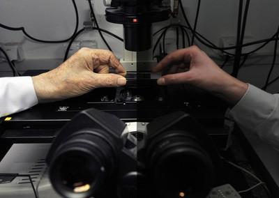 Photostability of Chemical Molecules