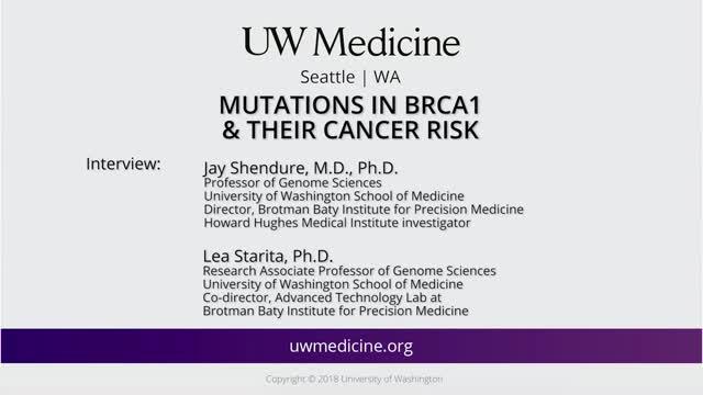Soundbites: Breast Cancer Gene Editing