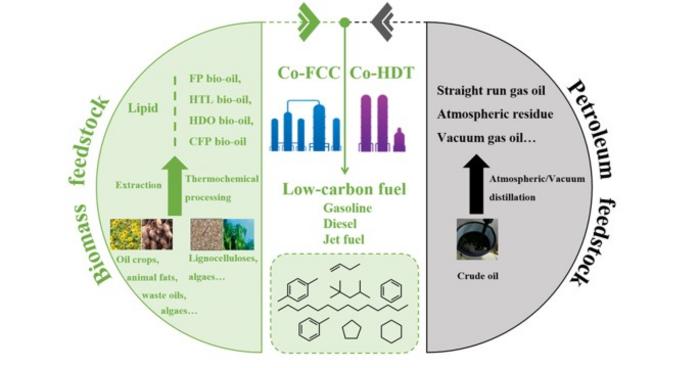 Schematic view of typical co-processing routes
