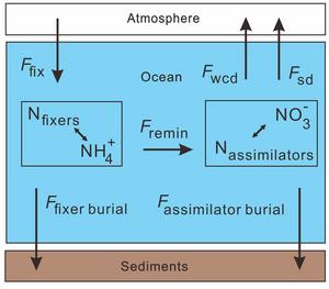 Simplified nitrogen cycle box model