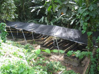 Replicate Artificial Streams