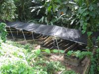 Replicate Artificial Streams