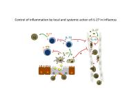 Influenza Cartoon
