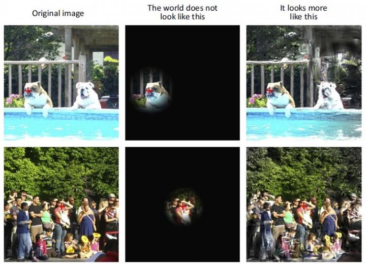 Gist of Visual Perception