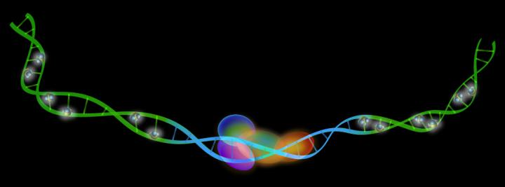DNA Methylation