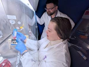 BIllingham laying density gradient to isolate immune cells from brain tumors