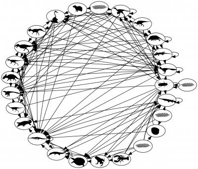 Cretaceous Ecological Food Web