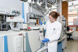 Turning solar power into protein
