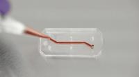 Emulate's Organs-on-Chips Technology (2 of 3)
