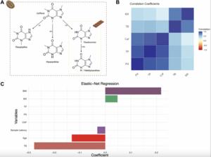 Theobromine is associated with slower epigenetic ageing