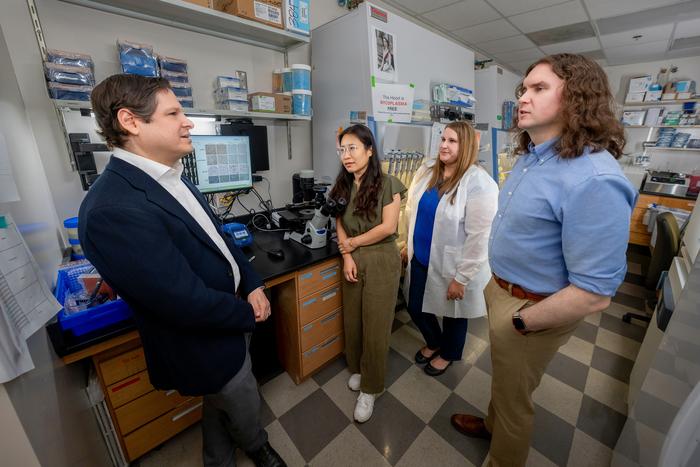 Combination therapy reveals potential vulnerability in aggressive osteosarcoma