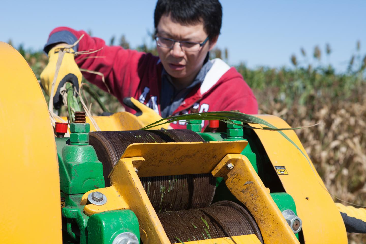 Processing Biofuel Crop