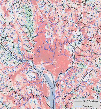 Stream Network in Washington, D.C. Area