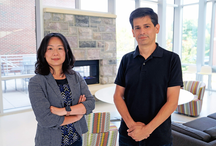 Biomedical researchers scientists tie improved learning processes to reduced symptoms of depression