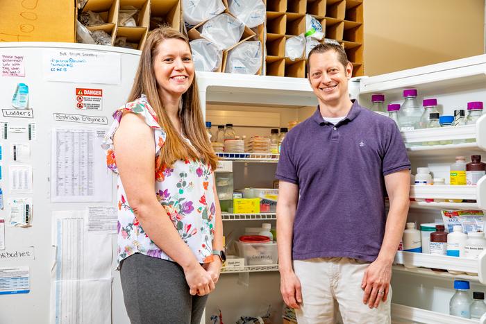 Jeffrey Lewis Lab