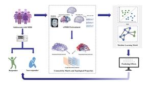 THE OVERALL FRAMEWORK OF THIS STUDY FOR PREDICTING THE EFFICACY OF ECT IN ADOLESCENT PATIENTS WITH MDD