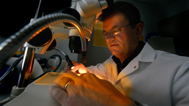 Anatolij Horuzsko, Medical College of Georgia