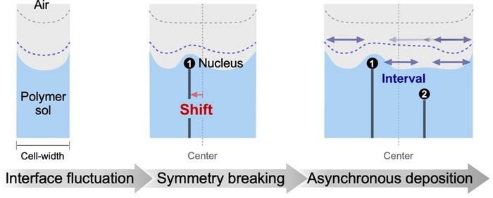 Conceptual diagram showing how widening the cell width reveals symmetry-breaking behavior