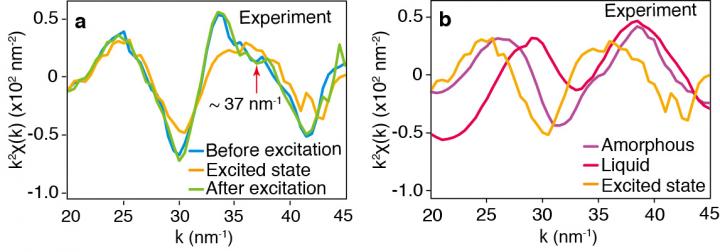 Successful Real-Time Observation Of Atomic Motion with Sub-Nanometer Resolution (3/3)