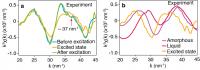 Successful Real-Time Observation Of Atomic Motion with Sub-Nanometer Resolution (3/3)