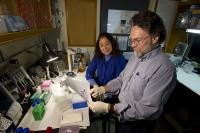 Mark Hahn and Diana Franks, Woods Hole Oceanographic Institution
