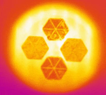 Fusion -- Tungsten Rising