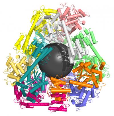 A Molecular Cage