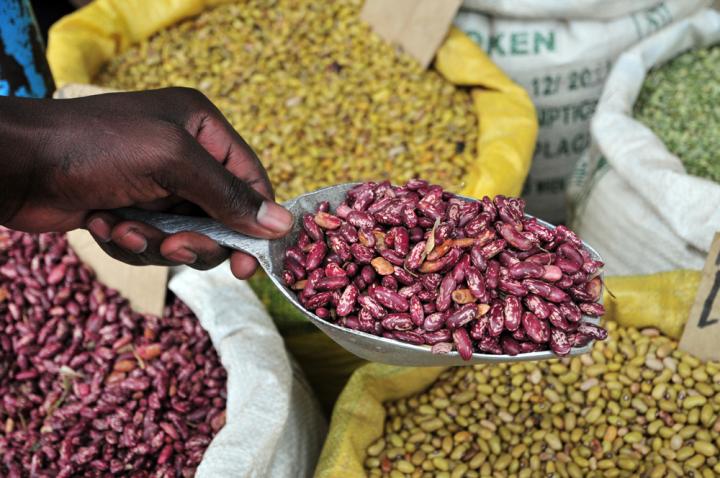 Urgent Need to Transform Key Food Producing Regions in Africa by 2025