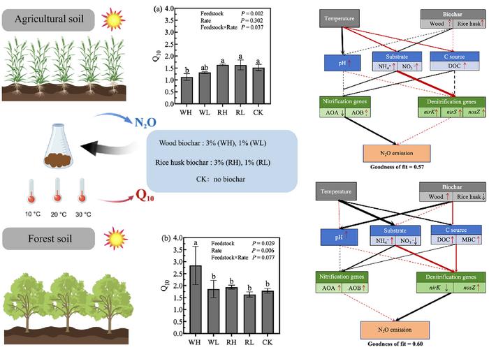Biochar modulates temperature sensitivity of soil N2O emissions: soil-specific mechanisms