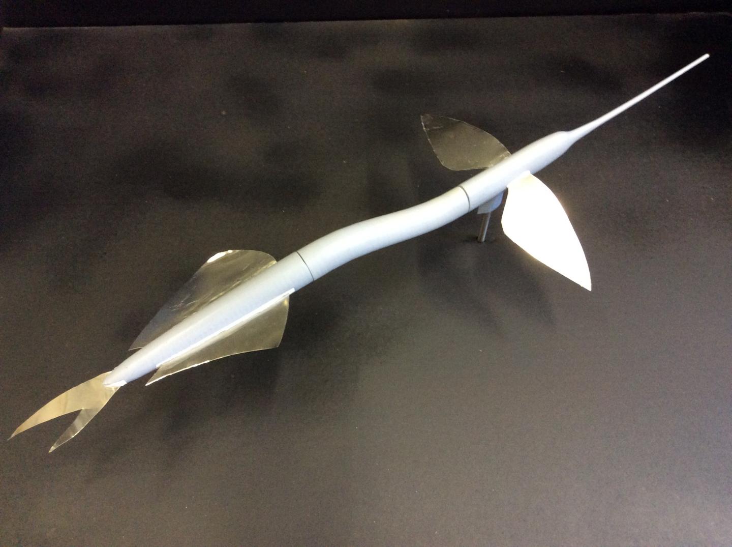 Ribbon Half-Beak Model