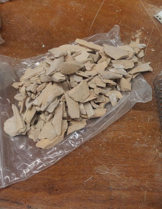 Fig. 4: A bag of fragmented bones from Starosele, before they were taken to the lab for ZooMS analysis.
