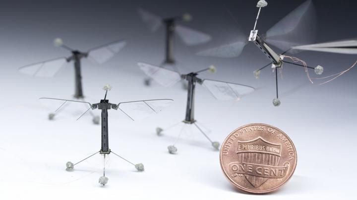 RoboBees