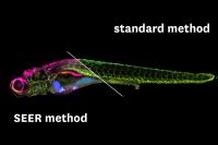 SEER Technology Vs. Standard Images