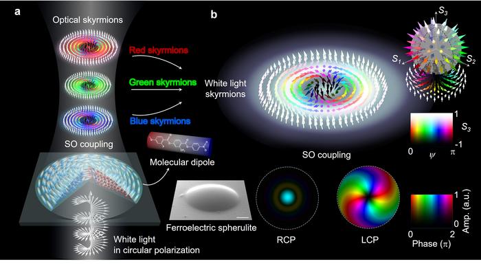 Figure | Conceptual schematic of white light skyrmions generation from a single dome-shaped ferroelectric spherulite.