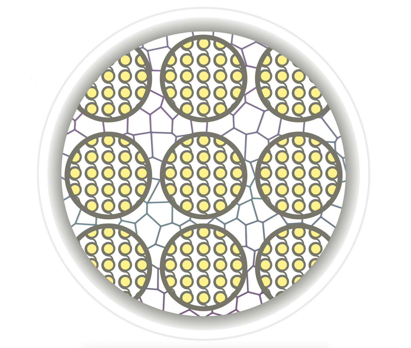 Orderly Chromatin