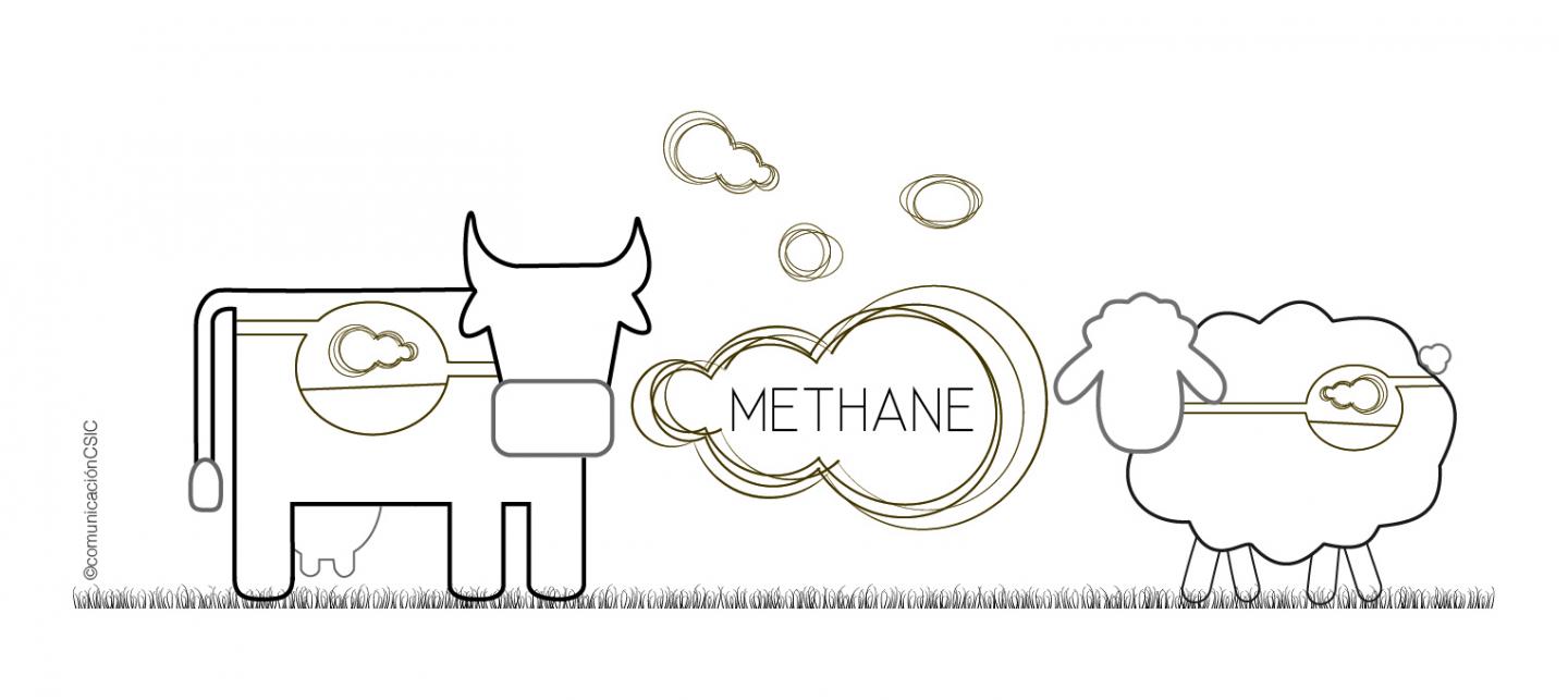 Methane