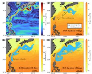 Simulated drift trajectories of the plastic bottle cap