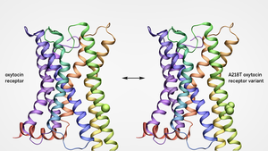 Receptor structure