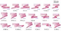 Figure | Partial output results of the three-mirror freeform system design working in the VIS band.