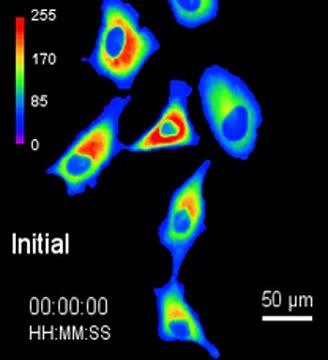 Photocleavable Proteins at Work